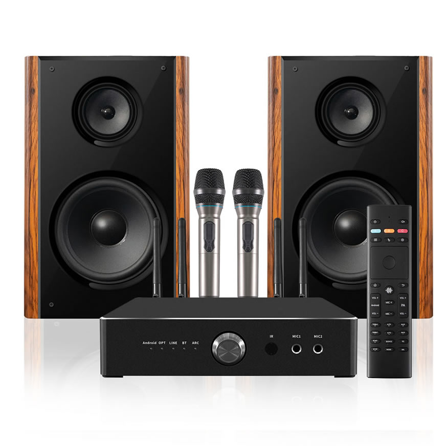 Professioneller 300W High Power Heimkaraoke-Lautsprecher | iHomeLife-HLQ HiFi-Audio für Heim-KTV, Heimkino und Kleine Aufführungen